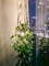 Macrame Plant Hanger with Fake Vines Faux Hanging Planter for Wall Ceiling Bedroom Bathroom Kitchen Office Boho Decor Indoor